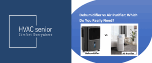 Air Purifier vs Dehumidifier