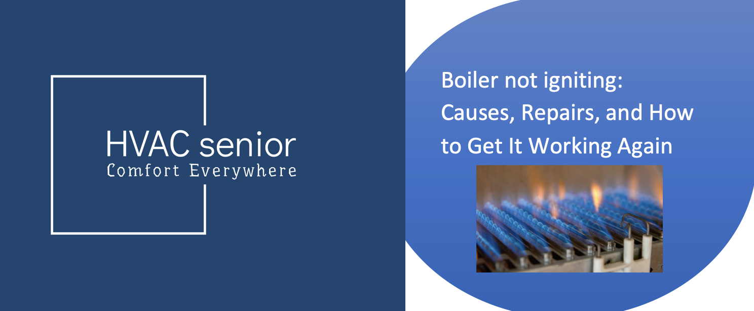 Boiler not igniting